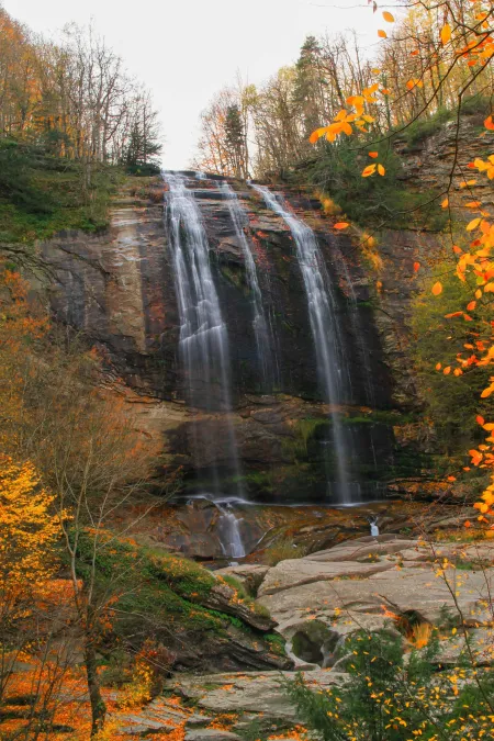 cascad au milieu forêt image libre de droit
