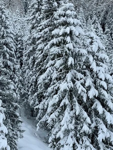 La neige image libre de droit