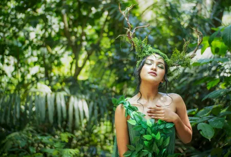 Une forêt image libre de droit