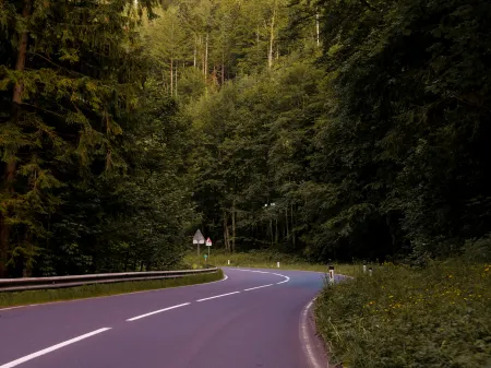 Une  route bitumée en forêt image libre de droit