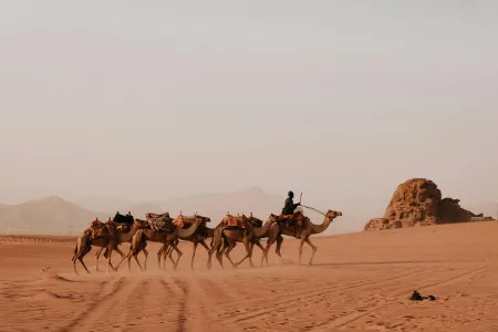 le désert image libre de droit