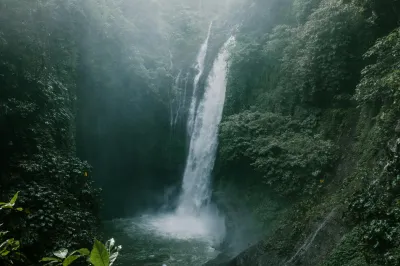 Un cascade en pleine forêt