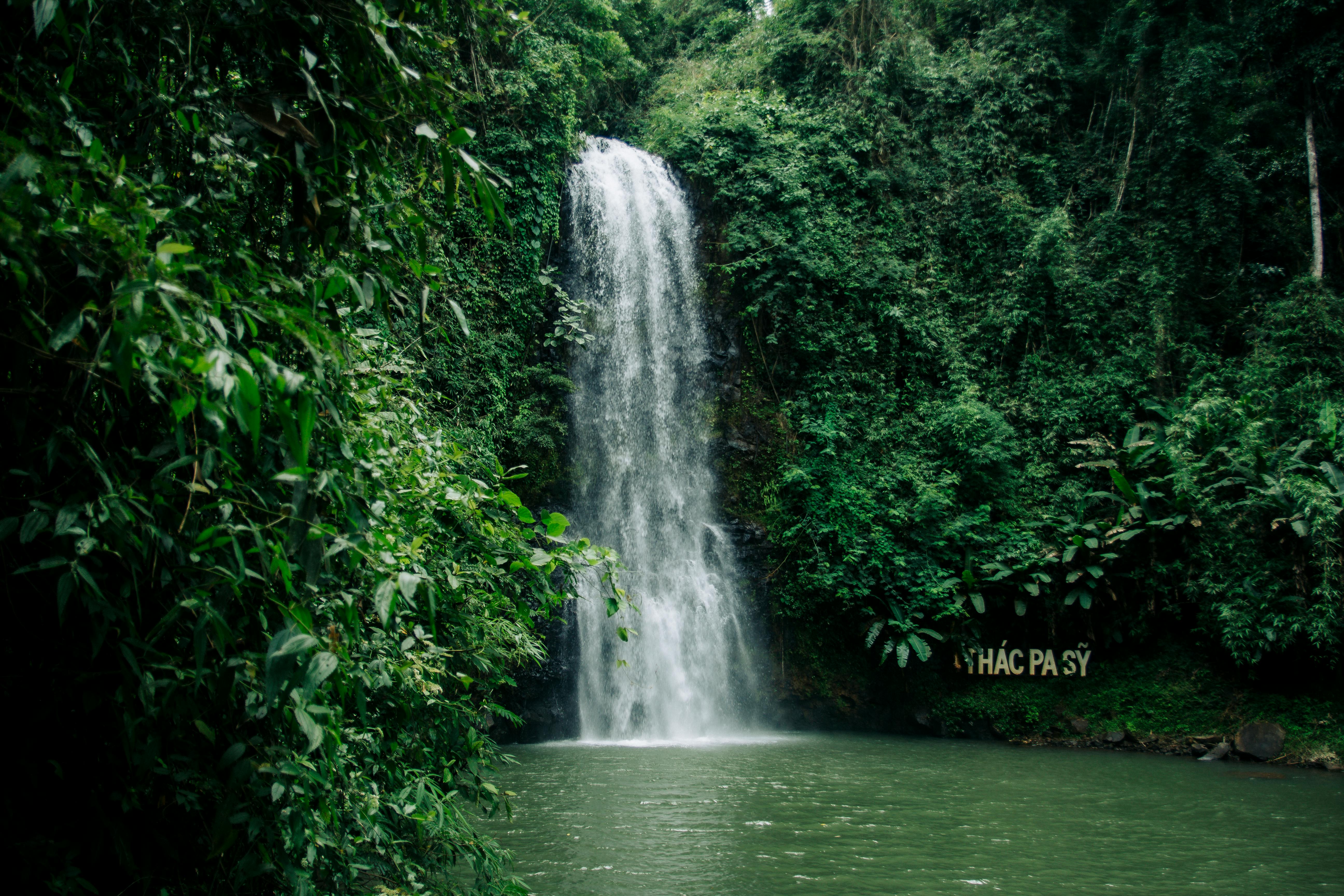 Un beau cascade en forêt